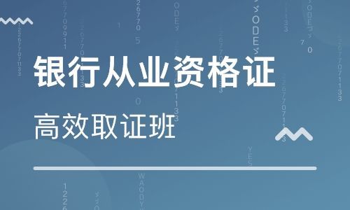 2016年银行从业资格考试《初级公司信贷》真题汇编及答案（3）